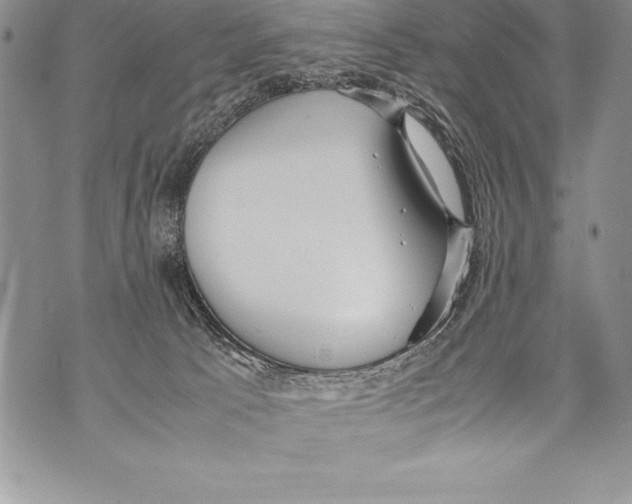 X0000070870033200607150132