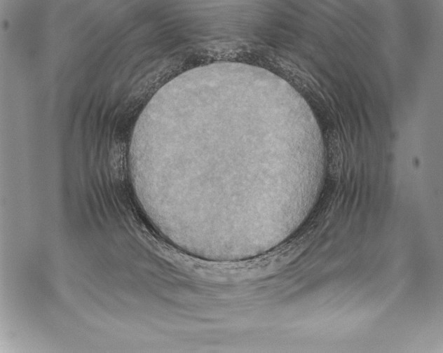 X0000070870034200607150132