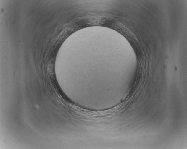 X0000070870035200607150132