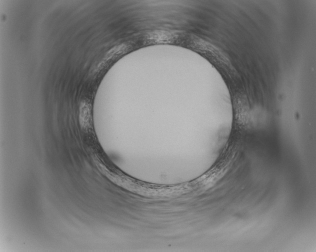 X0000070870036200607150132