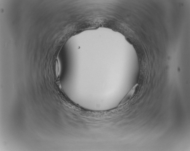 X0000070870037200607150132