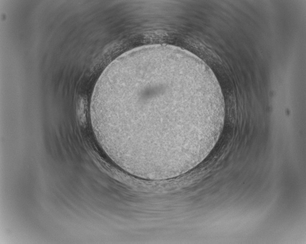 X0000070870038200607150132