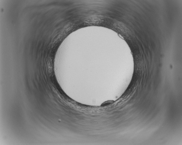 X0000070870040200607150132