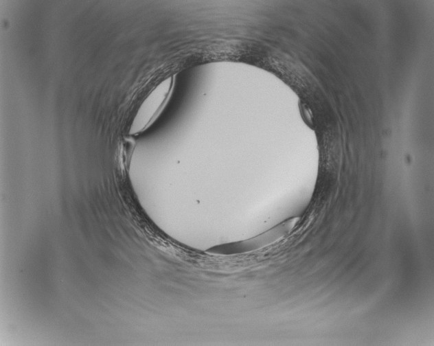 X0000070870041200607150132