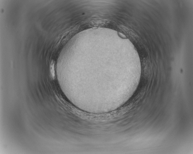 X0000070870042200607150132