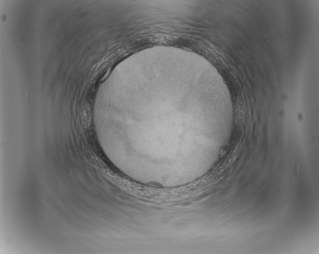 X0000070870043200607150132