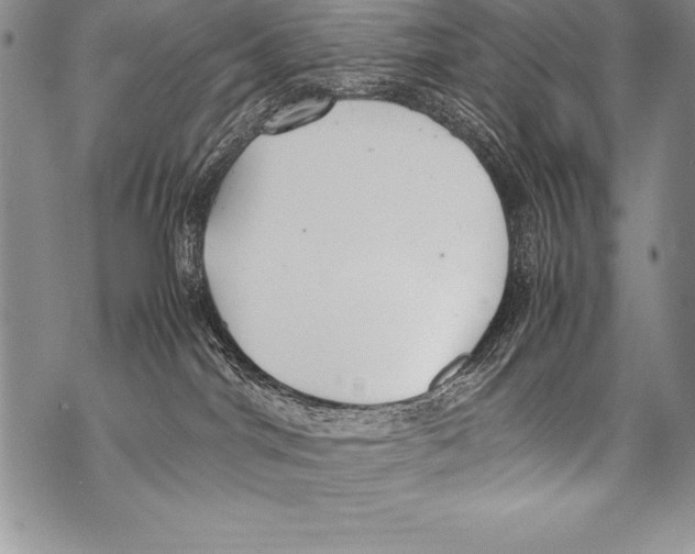 X0000070870044200607150132