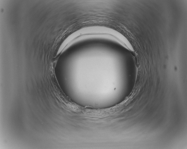 X0000070870045200607150132