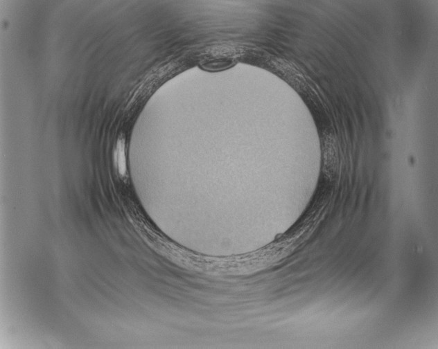 X0000070870046200607150132