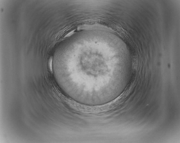 X0000070870047200607150132