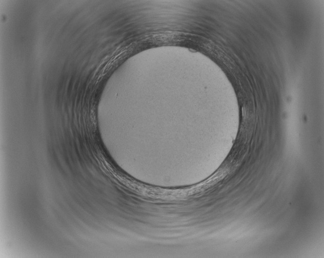 X0000070870048200607150132