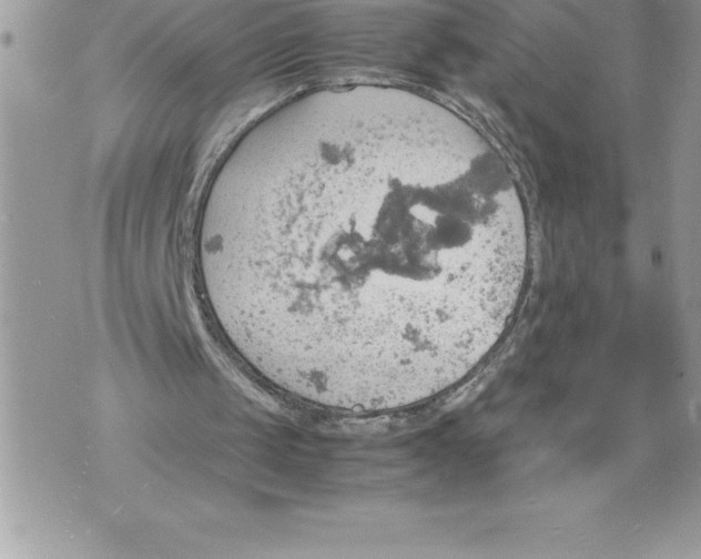 X0000070870049200607150131