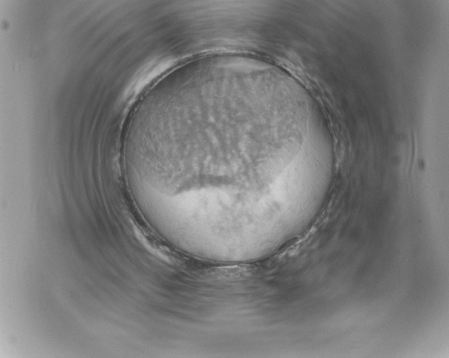 X0000070870050200607150131