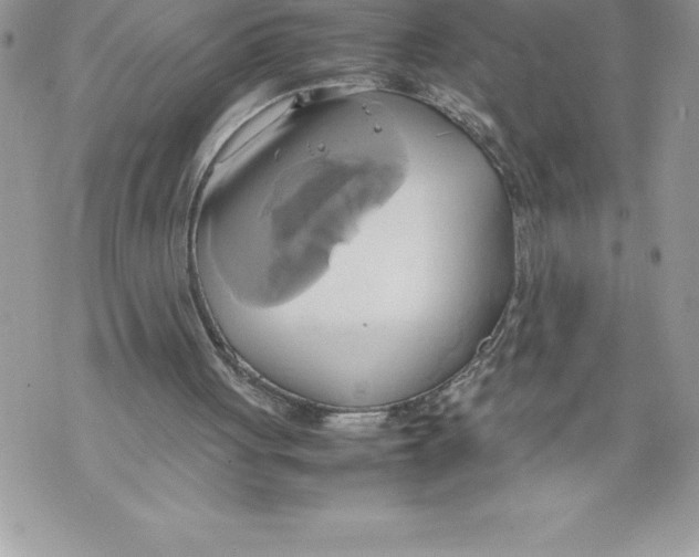 X0000070870051200607150131