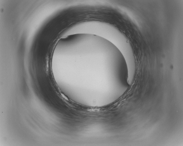 X0000070870052200607150131