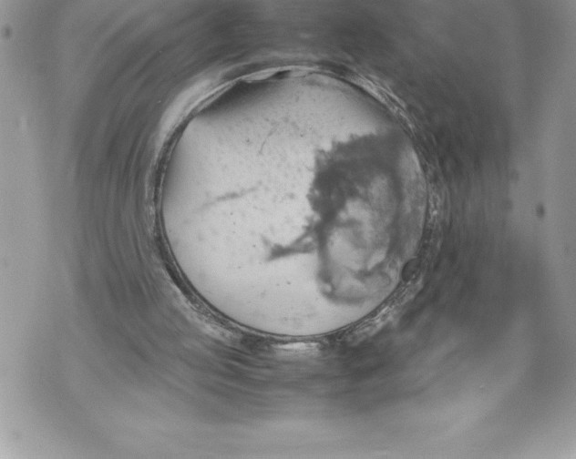 X0000070870053200607150131