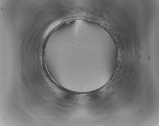 X0000070870054200607150131