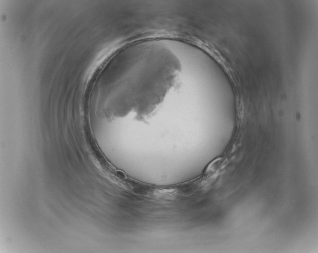 X0000070870055200607150131