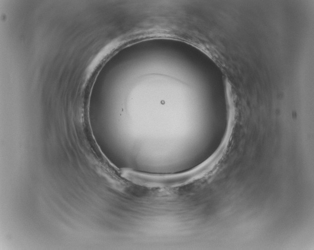 X0000070870056200607150131