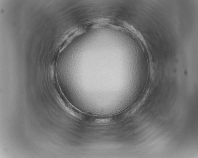 X0000070870057200607150131