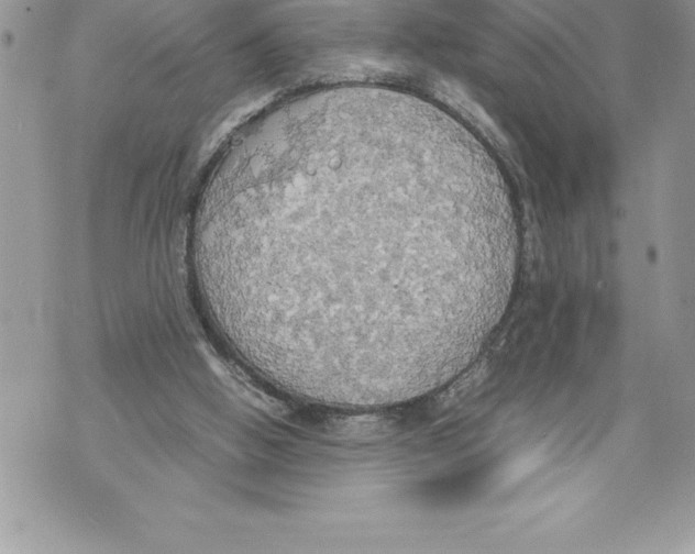 X0000070870058200607150131