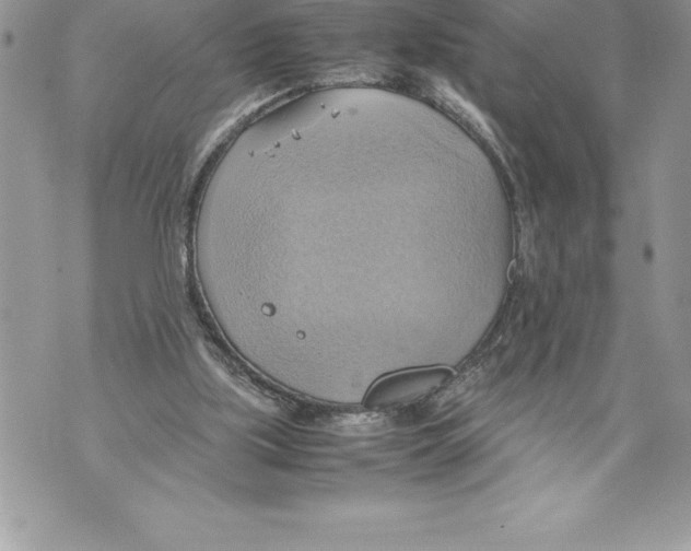 X0000070870059200607150131