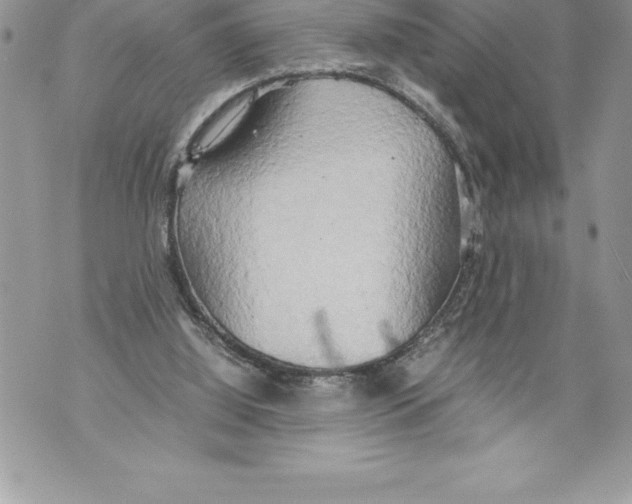 X0000070870060200607150131