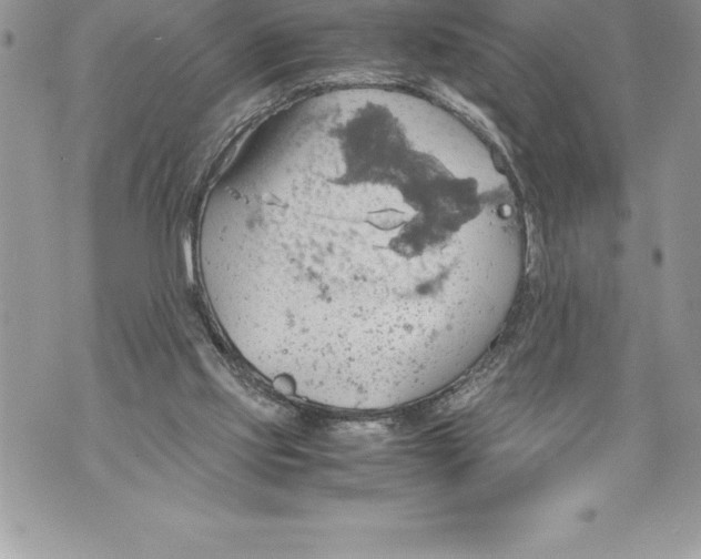 X0000070870061200607150131