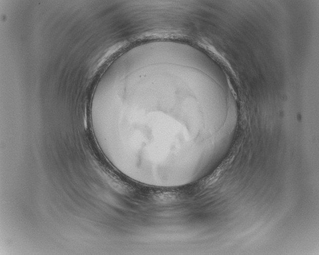 X0000070870062200607150131