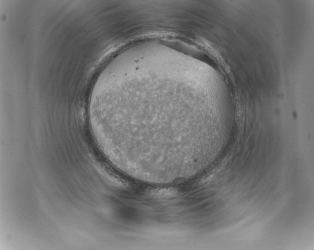 X0000070870063200607150131