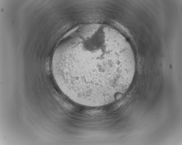 X0000070870065200607150131