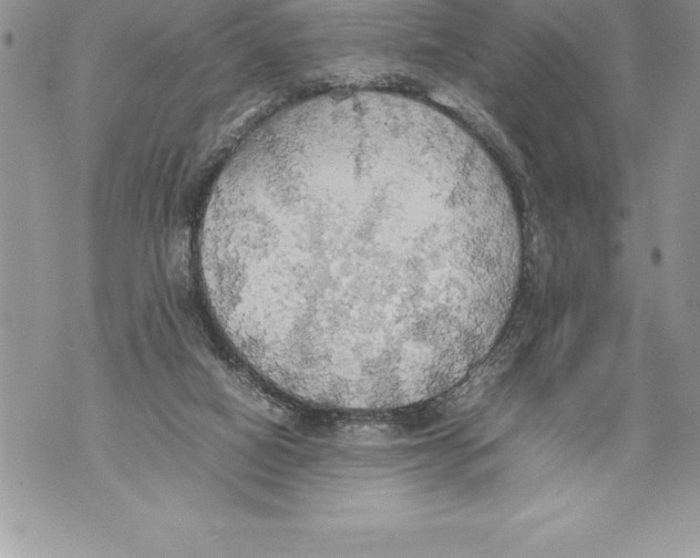 X0000070870066200607150132