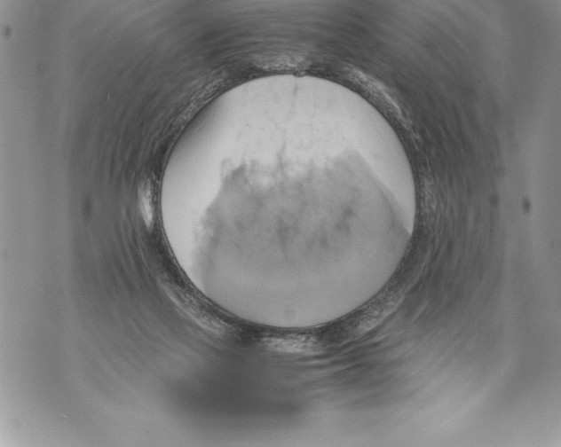 X0000070870069200607150132