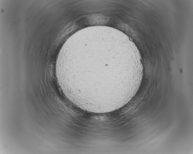 X0000070870071200607150132