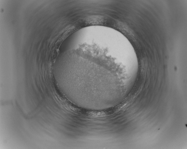 X0000070870073200607150132