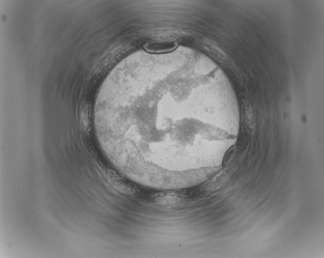 X0000070870074200607150132