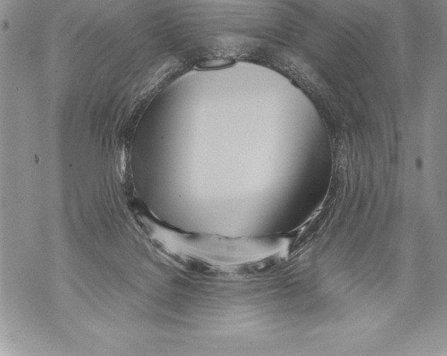 X0000070870076200607150132