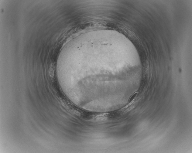 X0000070870078200607150132