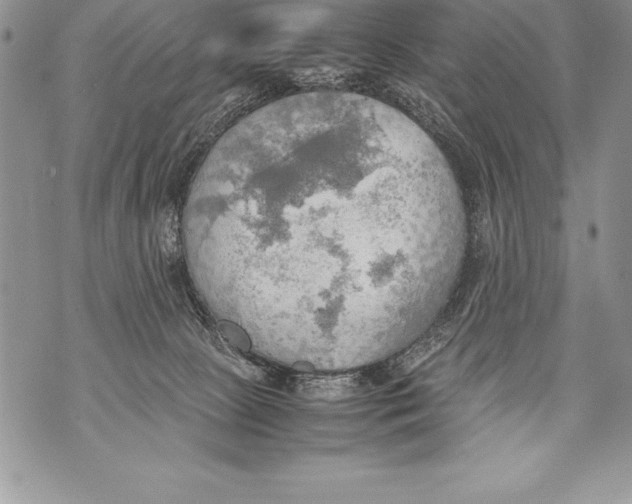 X0000070870081200607150132