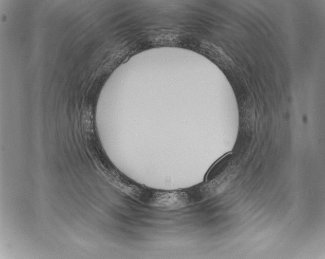 X0000070870083200607150132