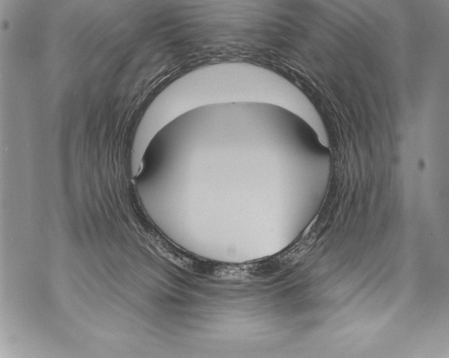 X0000070870084200607150132