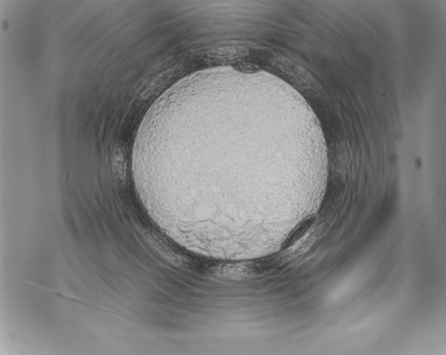 X0000070870086200607150132