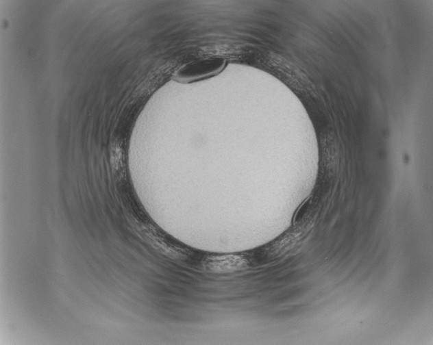 X0000070870087200607150132