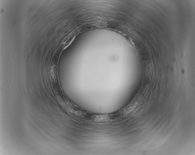 X0000070870088200607150132