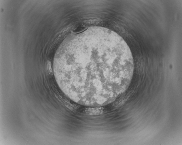 X0000070870089200607150132