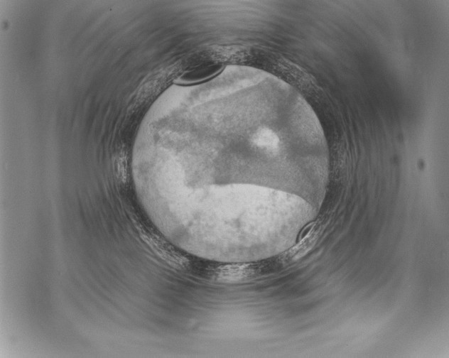 X0000070870090200607150132