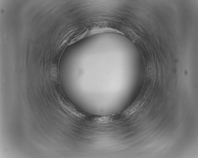 X0000070870092200607150132