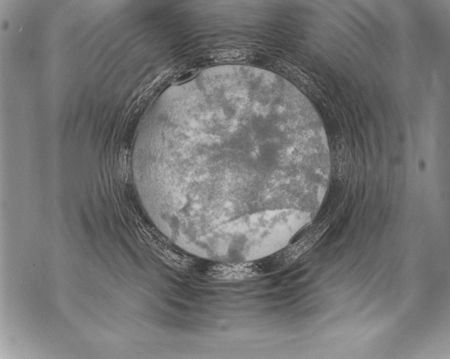 X0000070870093200607150132