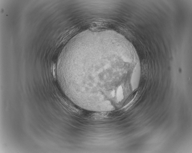 X0000070870094200607150132