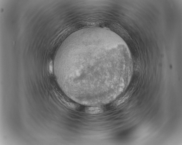 X0000070870095200607150132